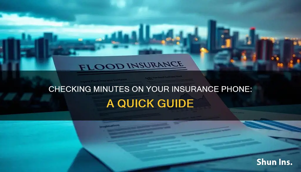how to check minutes on insurance phone