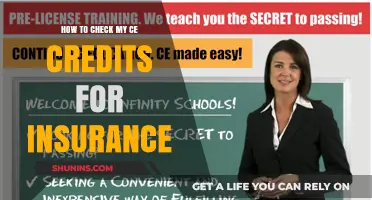 Reviewing Insurance CE Credits: A Quick Guide