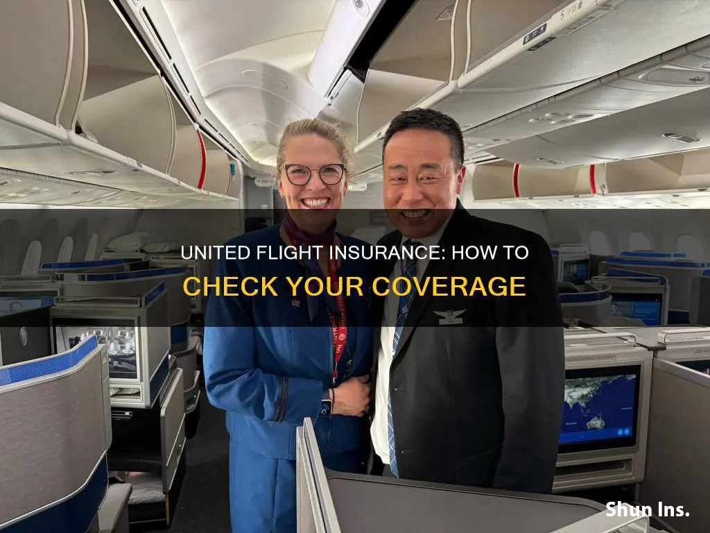 how to check my flight insurance united