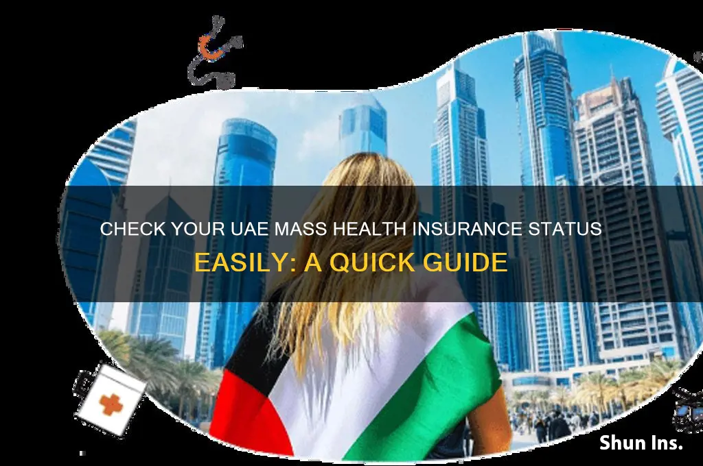 how to check my mass health insurance status uae