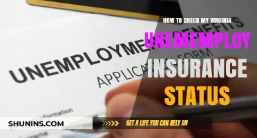 Virginia Unemployment Insurance Status: How to Check