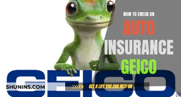 Auto Insurance: Checking Your GEICO Policy Coverage