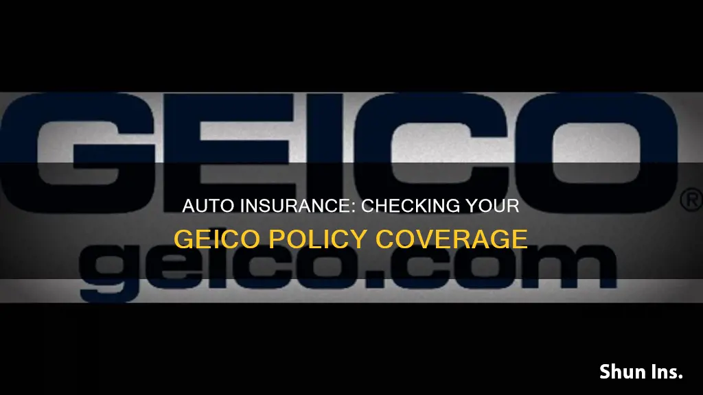 how to check on auto insurance geico