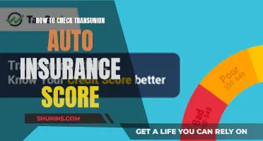 Understanding Your TransUnion Auto Insurance Score