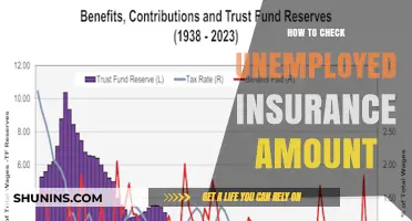 Uncover Your Unemployment Insurance: A Step-by-Step Guide