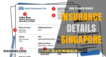 Vehicle Insurance Details: A Quick Guide for Singaporeans