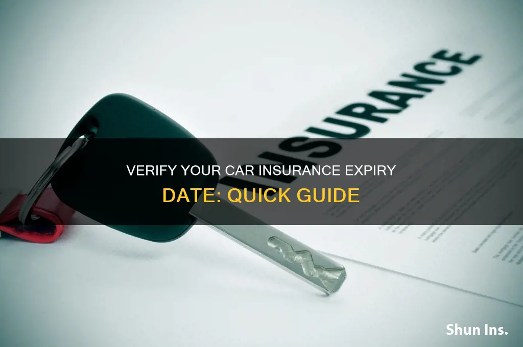 how to check vehicle insurance due date