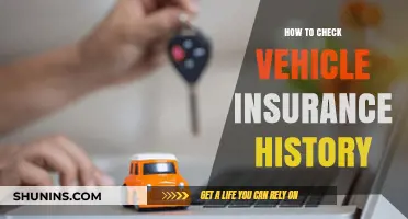 Uncover Your Vehicle's Insurance History: A Step-by-Step Guide