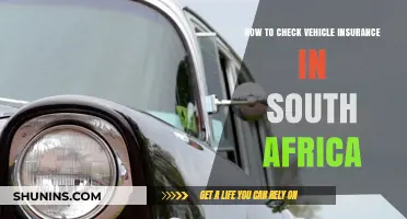 Check Vehicle Insurance in South Africa: A Quick Guide