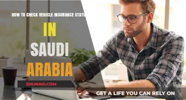 Check Your Vehicle Insurance Status in KSA: Quick Guide