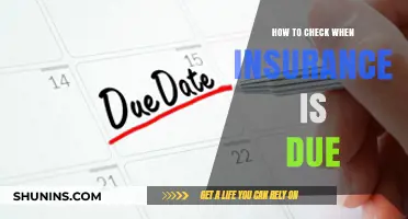 Insurance Due Dates: A Quick Guide to Checking