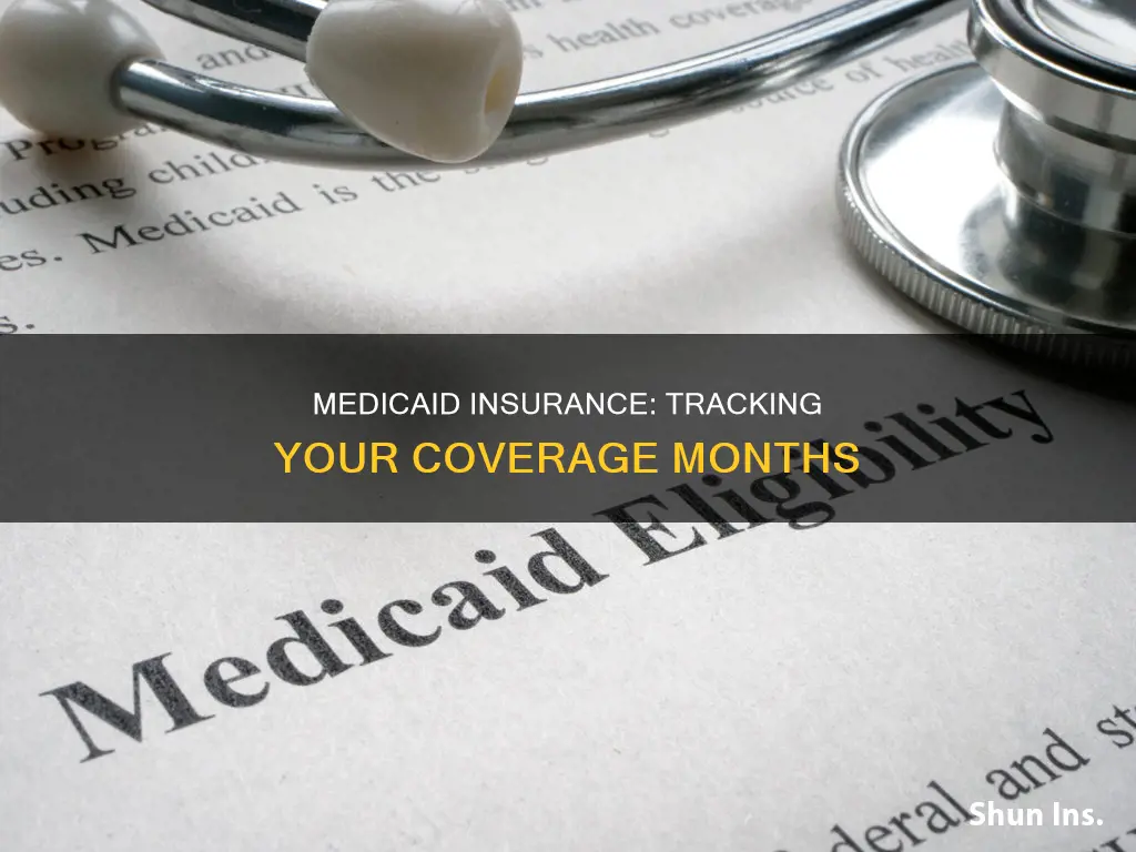 how to check witch months you had insurance with medicaid
