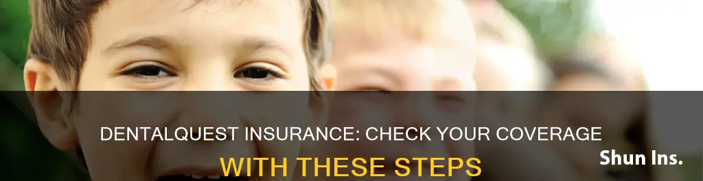 how to check your dentalquest insurance