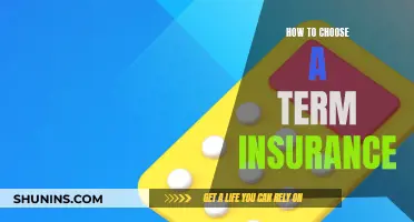 Selecting the Right Term Insurance: A Comprehensive Guide to Making the Best Choice