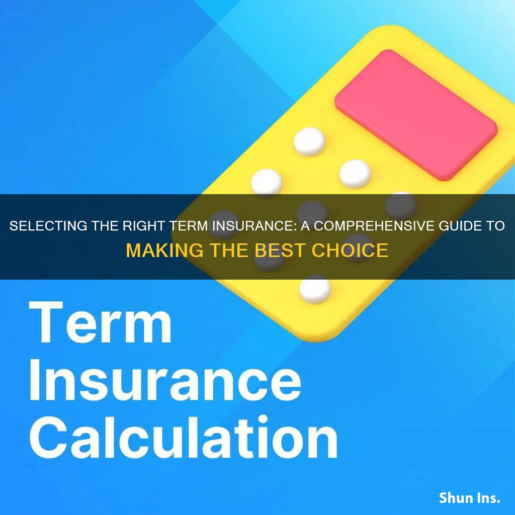 how to choose a term insurance