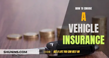 Choosing Vehicle Insurance: What to Consider