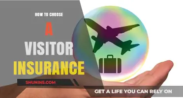 Essential Tips for Selecting the Perfect Visitor Insurance Plan