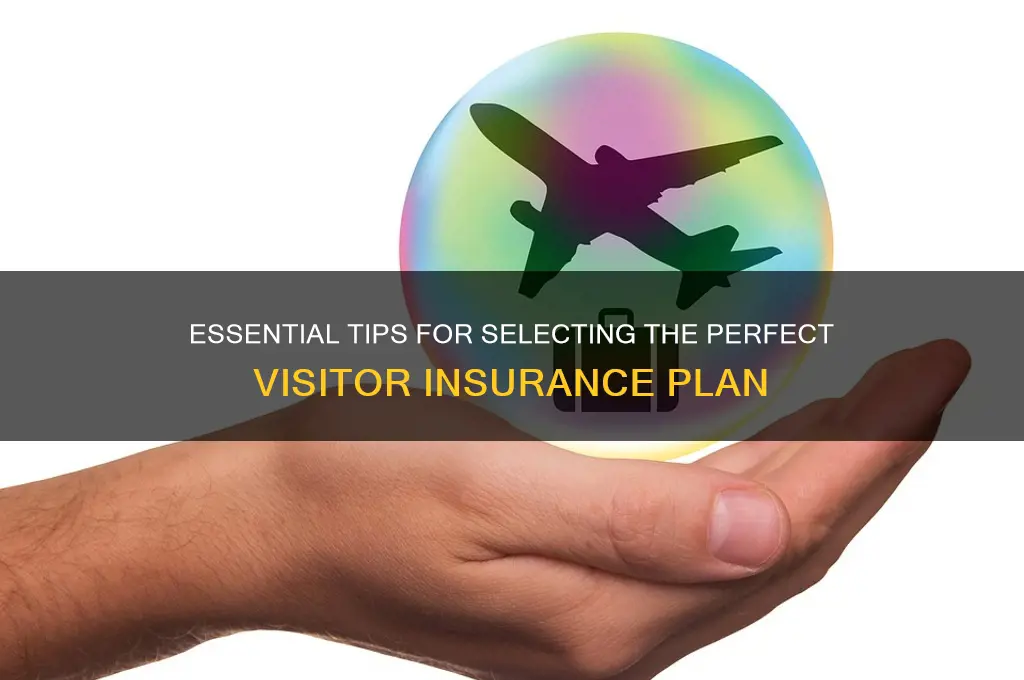 how to choose a visitor insurance