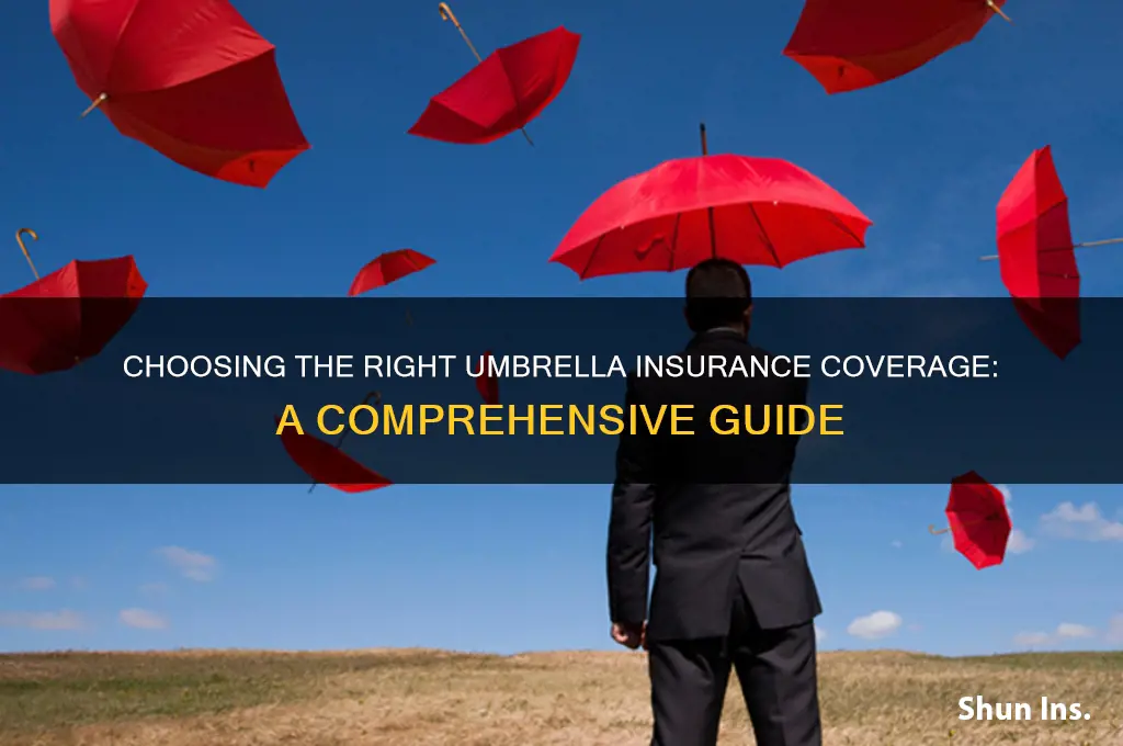 how to choose amount of umbrella insurance