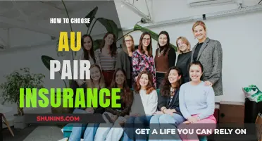 Essential Guide to Selecting the Best Au Pair Insurance Coverage
