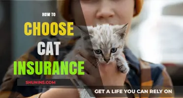 Choosing the Best Cat Insurance: A Comprehensive Guide for Pet Owners