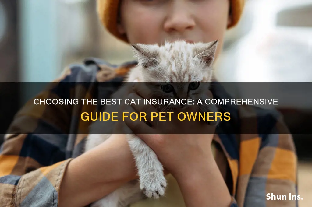 how to choose cat insurance