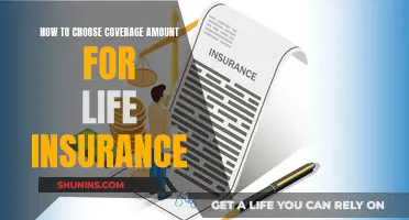 Choosing the Right Coverage: Life Insurance Simplified