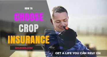 Choosing the Right Crop Insurance: A Comprehensive Guide for Farmers