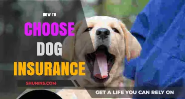 Choosing the Right Dog Insurance: A Comprehensive Guide for Pet Owners