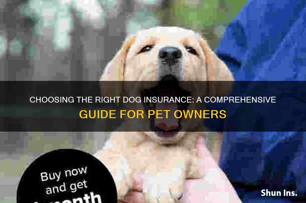 how to choose dog insurance