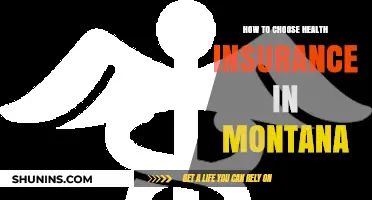 Montana Health Insurance Guide: Smart Choices for Your Coverage Needs