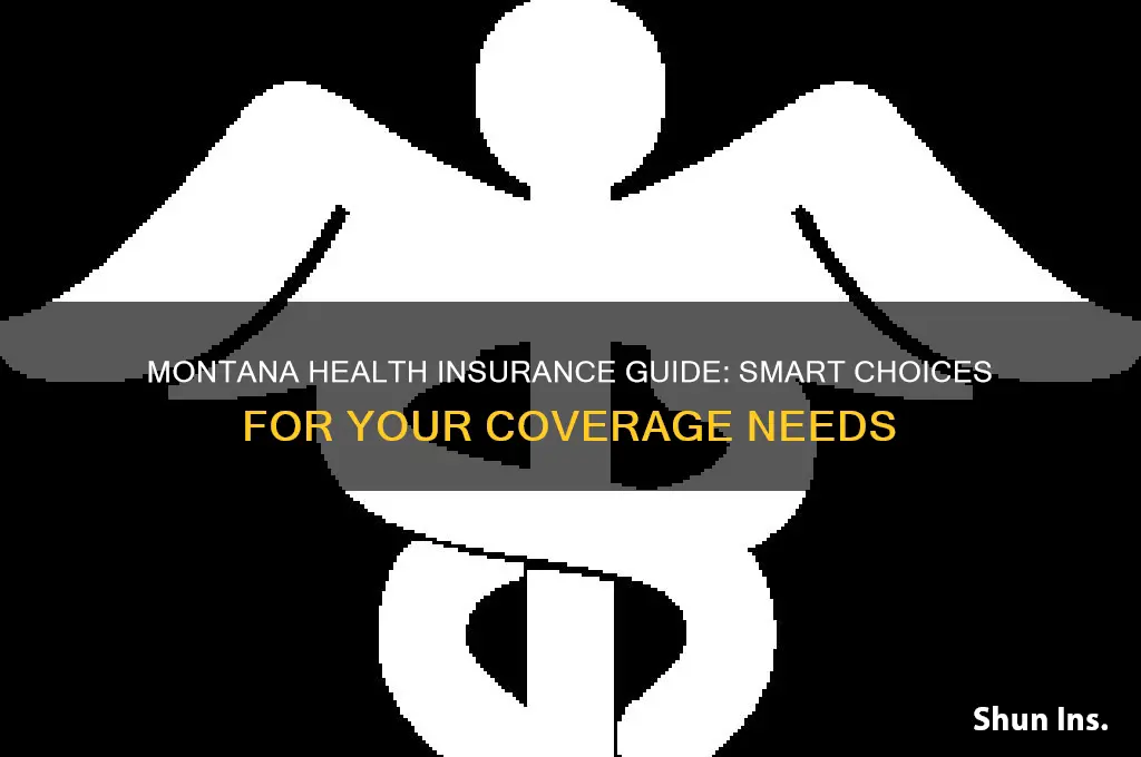 how to choose health insurance in montana