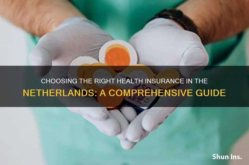 how to choose health insurance netherlands