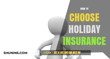 Essential Tips for Selecting the Perfect Holiday Insurance Plan