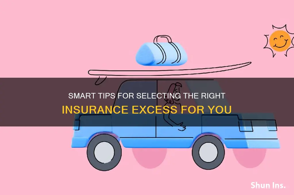 how to choose insurance excess
