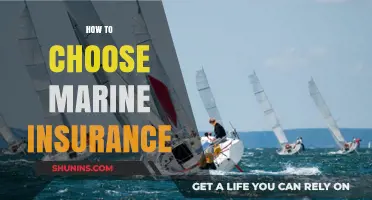 Essential Tips for Selecting the Right Marine Insurance Policy