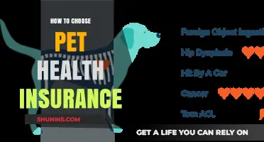 Choosing the Right Pet Health Insurance: A Comprehensive Guide for Owners