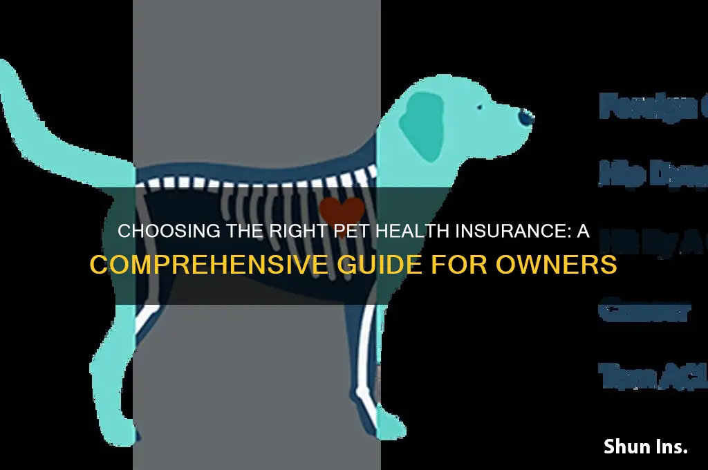 how to choose pet health insurance