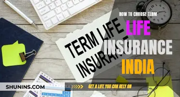 Choosing Term Life Insurance: A Guide for Indians