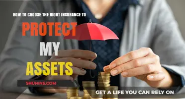 Protect Your Assets: A Guide to Choosing the Right Insurance