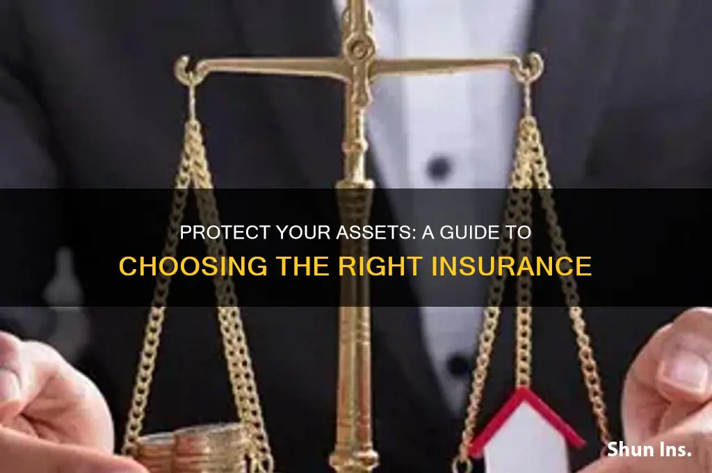 how to choose the right insurance to protect my assets