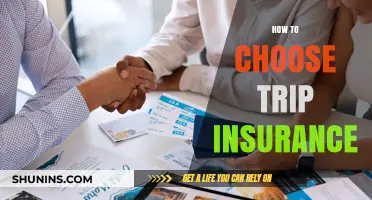 Essential Tips for Selecting the Perfect Trip Insurance Policy