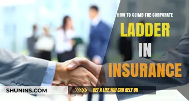 Strategic Steps to Ascend the Insurance Corporate Ladder Successfully