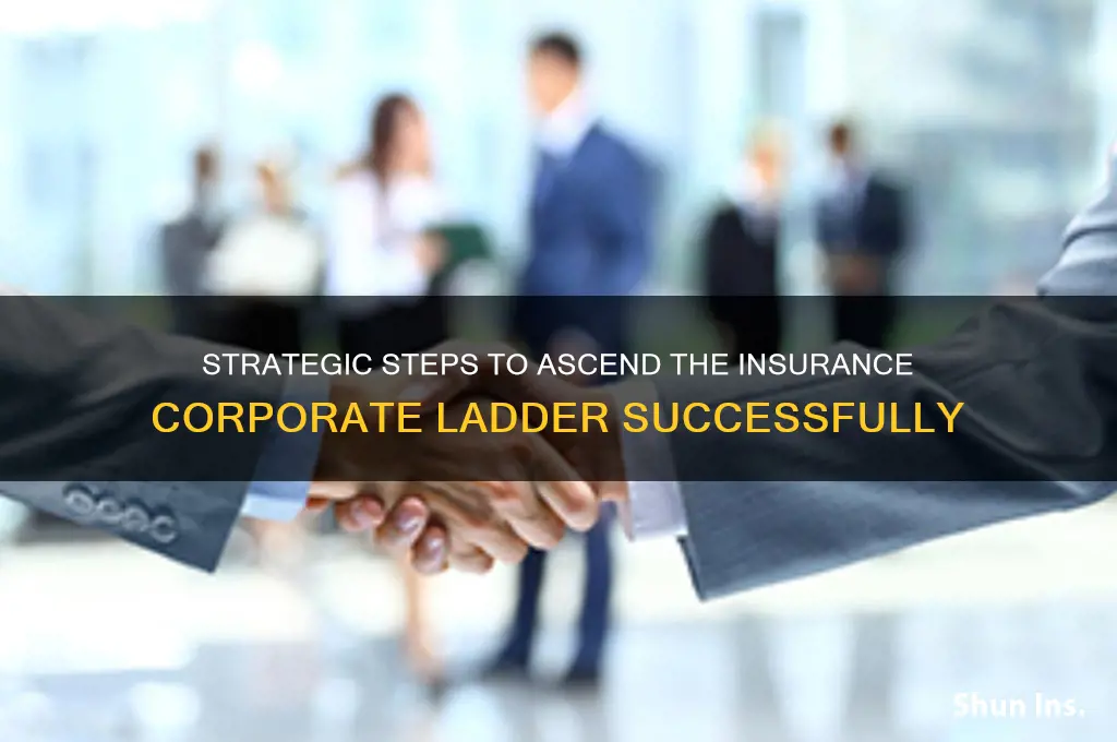 how to climb the corporate ladder in insurance