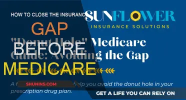 Navigating the Insurance Maze: Filling the Gap Before Medicare