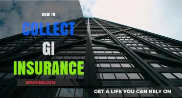 Mastering GI Insurance Collection: A Step-by-Step Guide for Policyholders