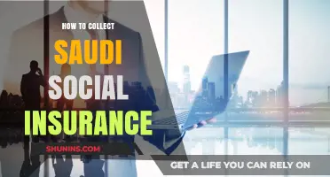 A Comprehensive Guide to Collecting Saudi Social Insurance Benefits