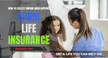 Collecting Unpaid Child Support: Can Life Insurance Help?