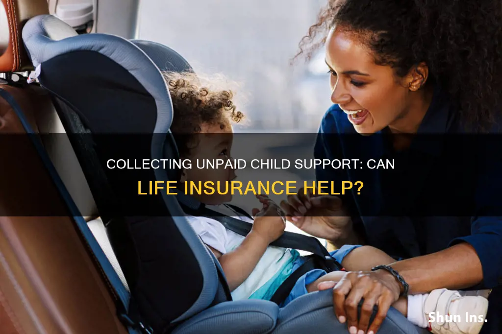 how to collect unpaid child support from life insurance