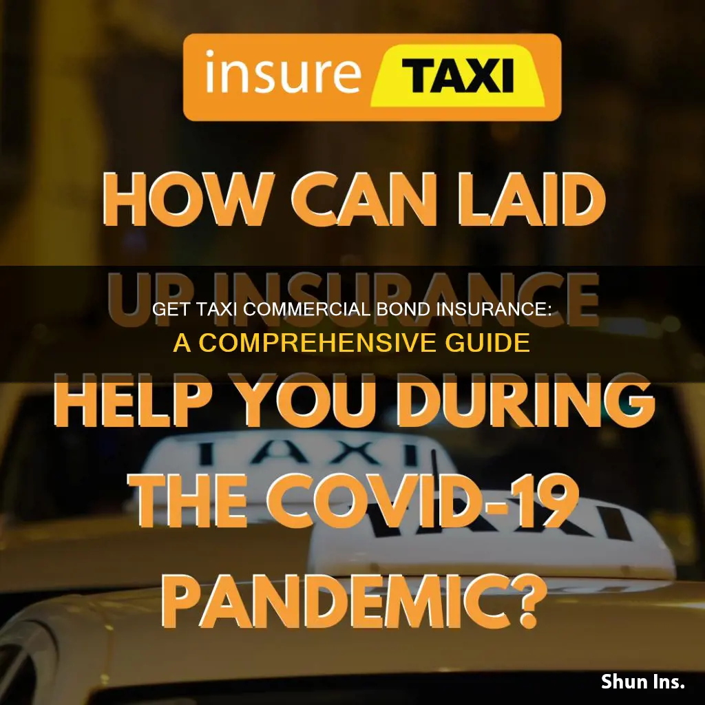 how to commercial bond insurance taxi